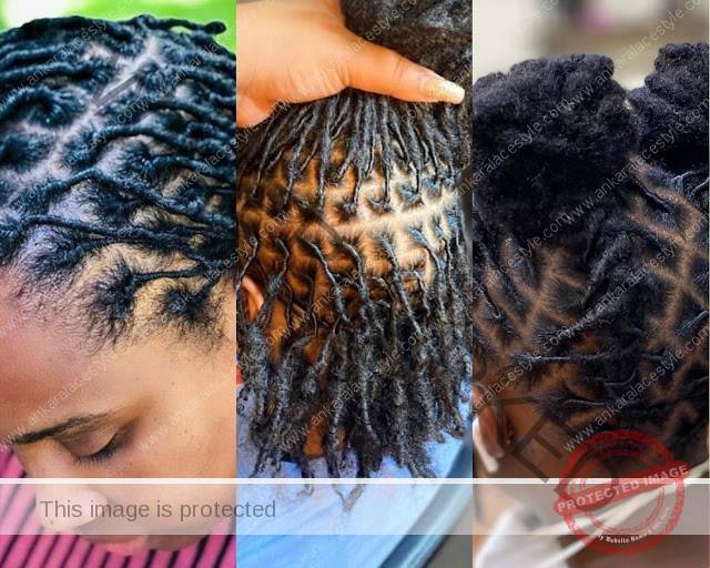  Dreadlock Hairstyle Ideas for Ladies in 2021 and 2022